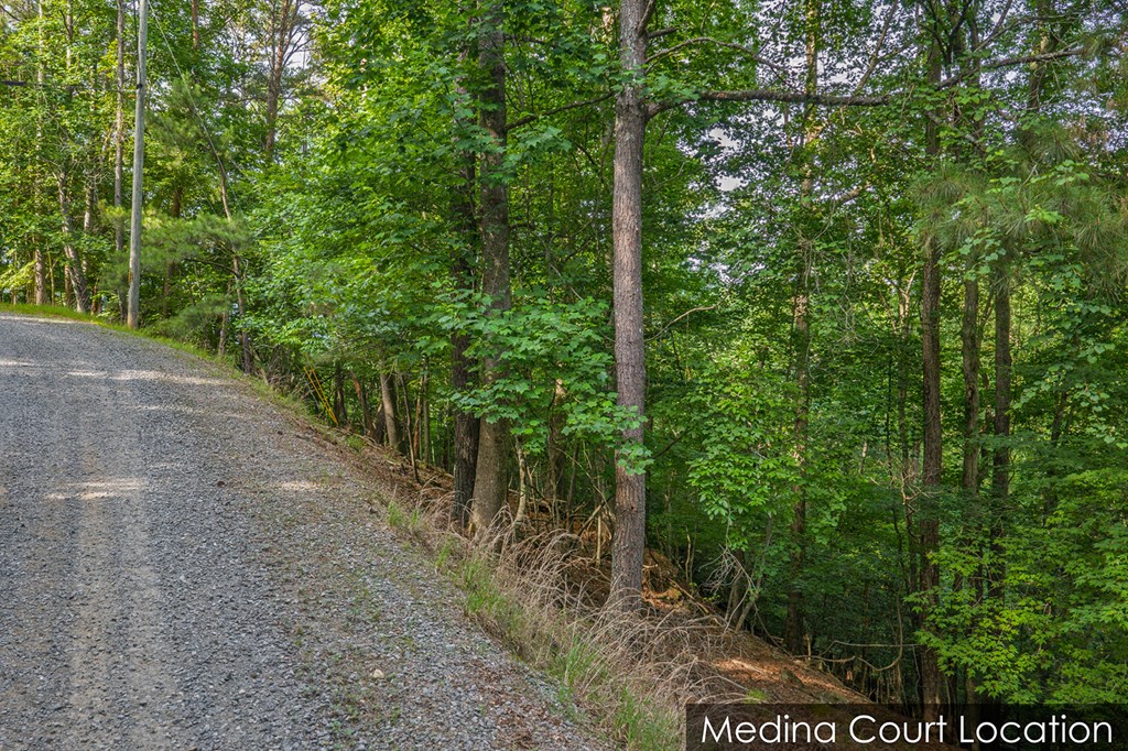 Lot 2800 Medina Court