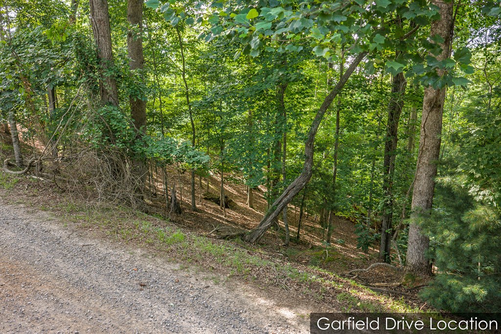 Lot 2800 Medina Court