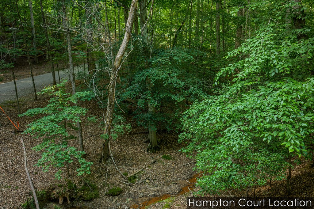 Lot 2800 Medina Court