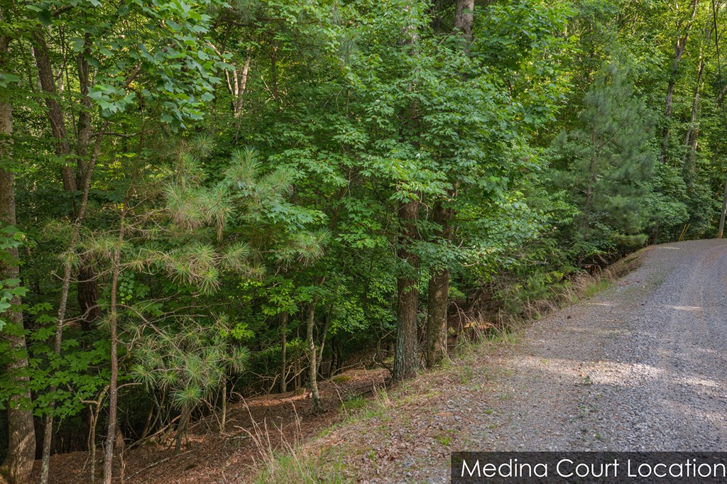Lot 2800 Medina Court