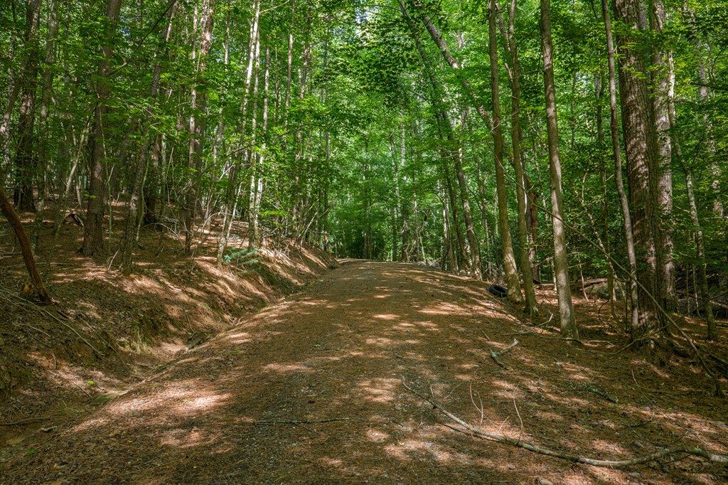 Lot 2800 Medina Court