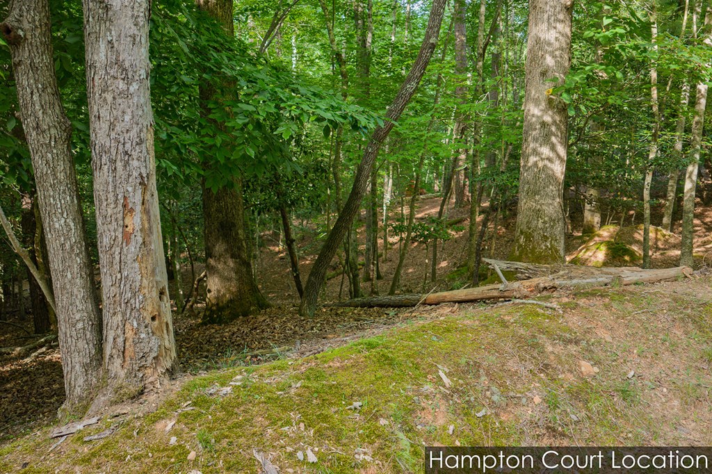 Lot 2800 Medina Court