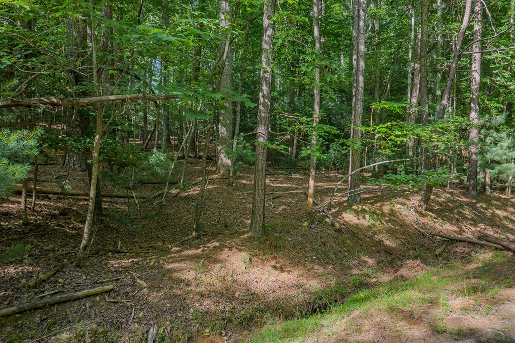 Lot 2800 Medina Court