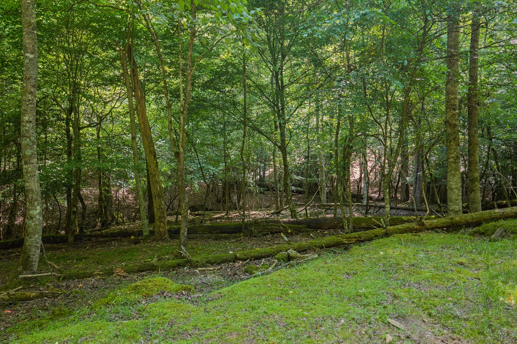Lot 2800 Medina Court