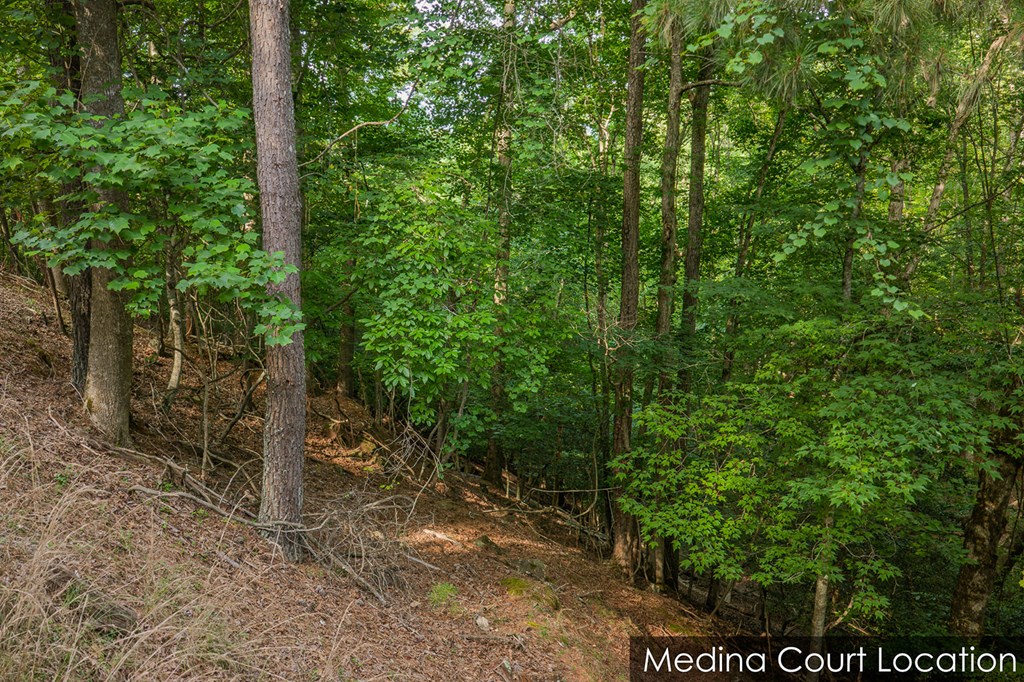 Lot 2800 Medina Court