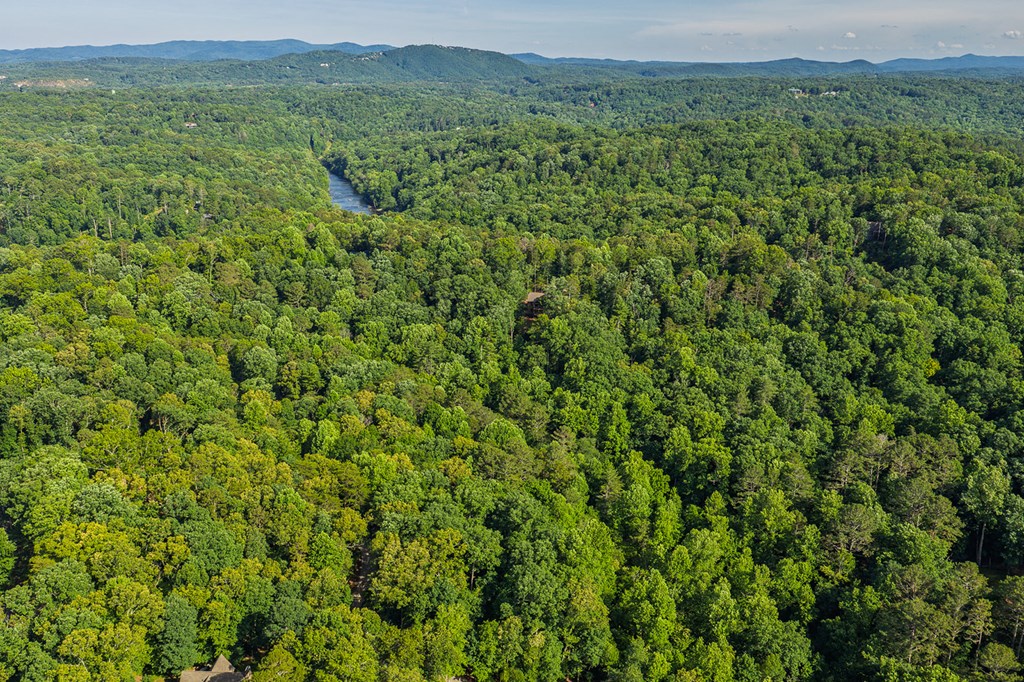 Lot 2800 Medina Court
