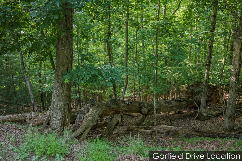 Lot 2800 Medina Court