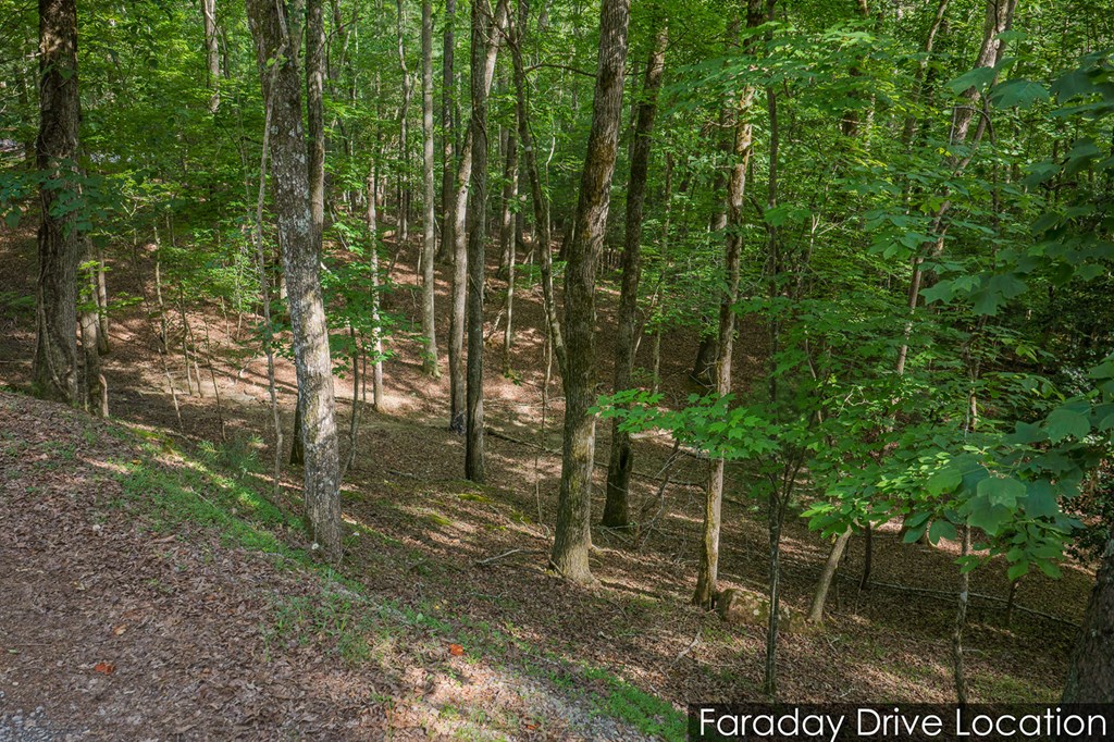 Lot 2800 Medina Court