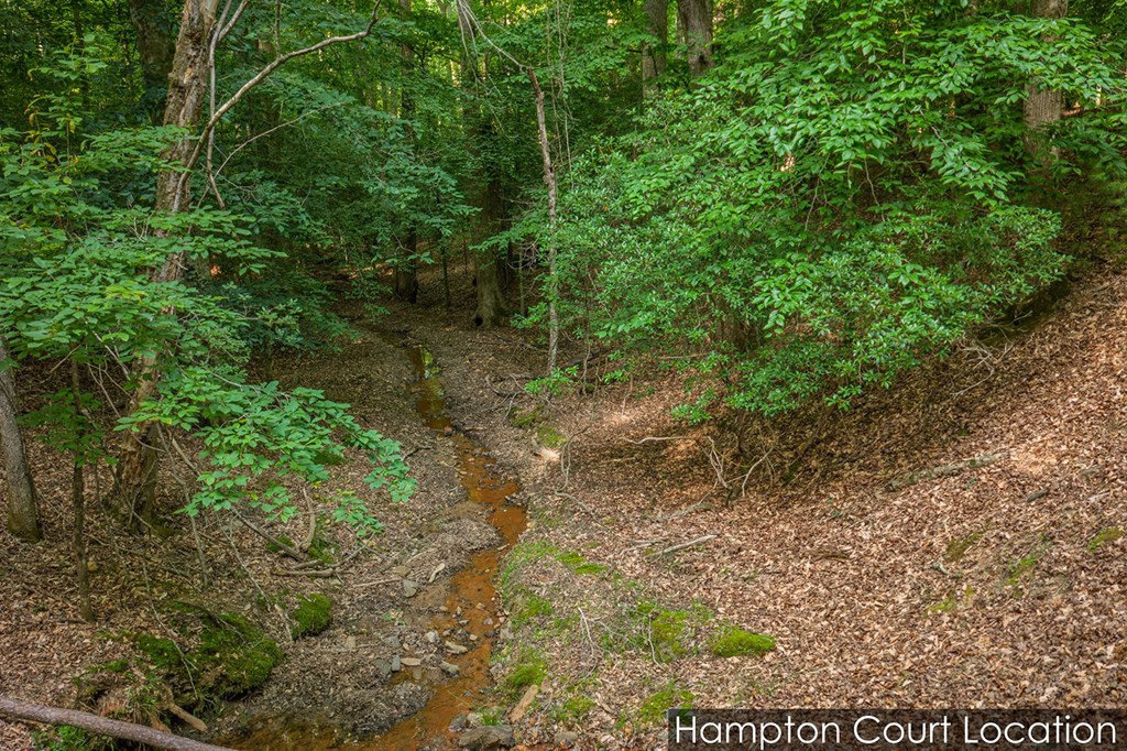 Lot 2800 Medina Court