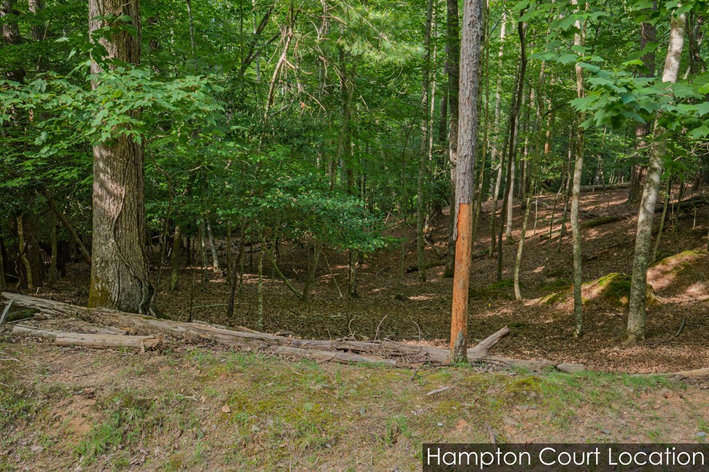 Lot 2800 Medina Court