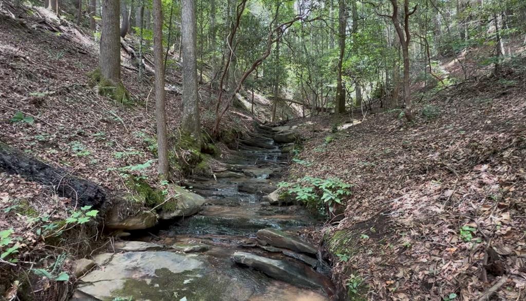 Lot 20 Lake Top Lane