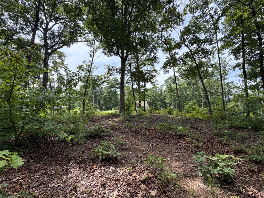 Lot 20 Lake Top Lane