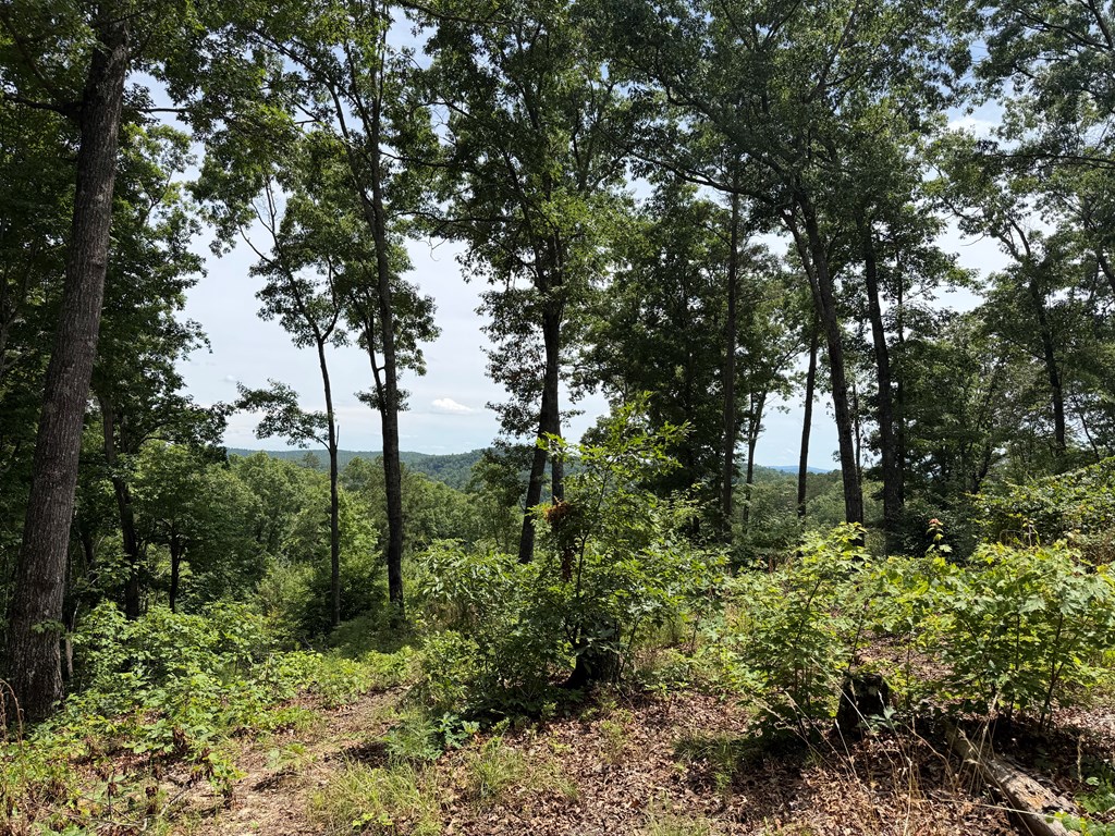 Lot 20 Lake Top Lane