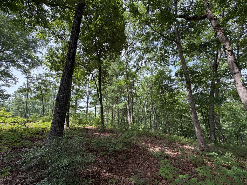 Lot 20 Lake Top Lane