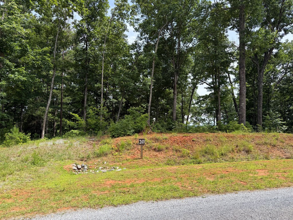 Lot 20 Lake Top Lane