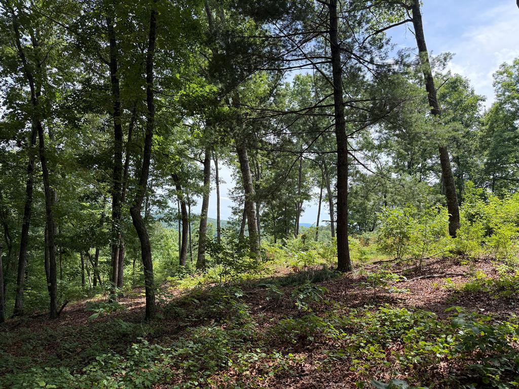 Lot 20 Lake Top Lane
