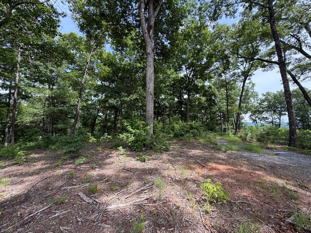 Lot 20 Lake Top Lane
