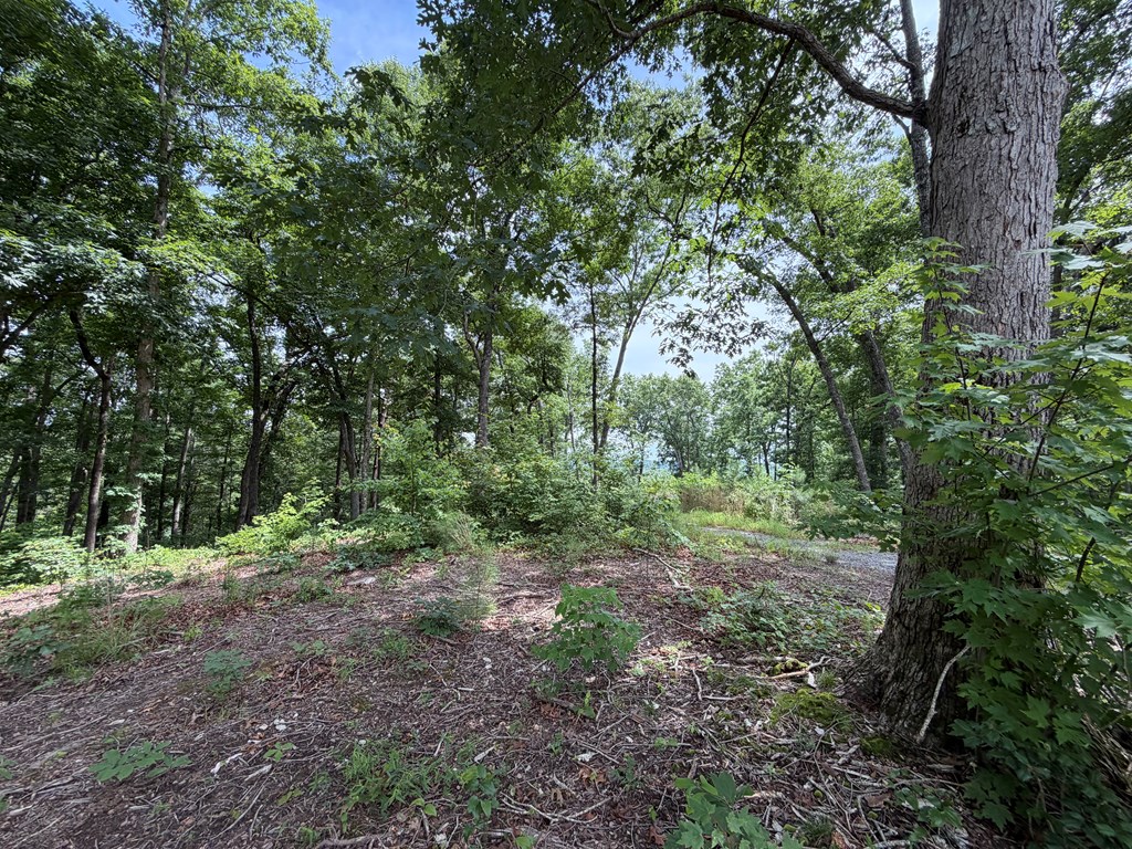 Lot 20 Lake Top Lane