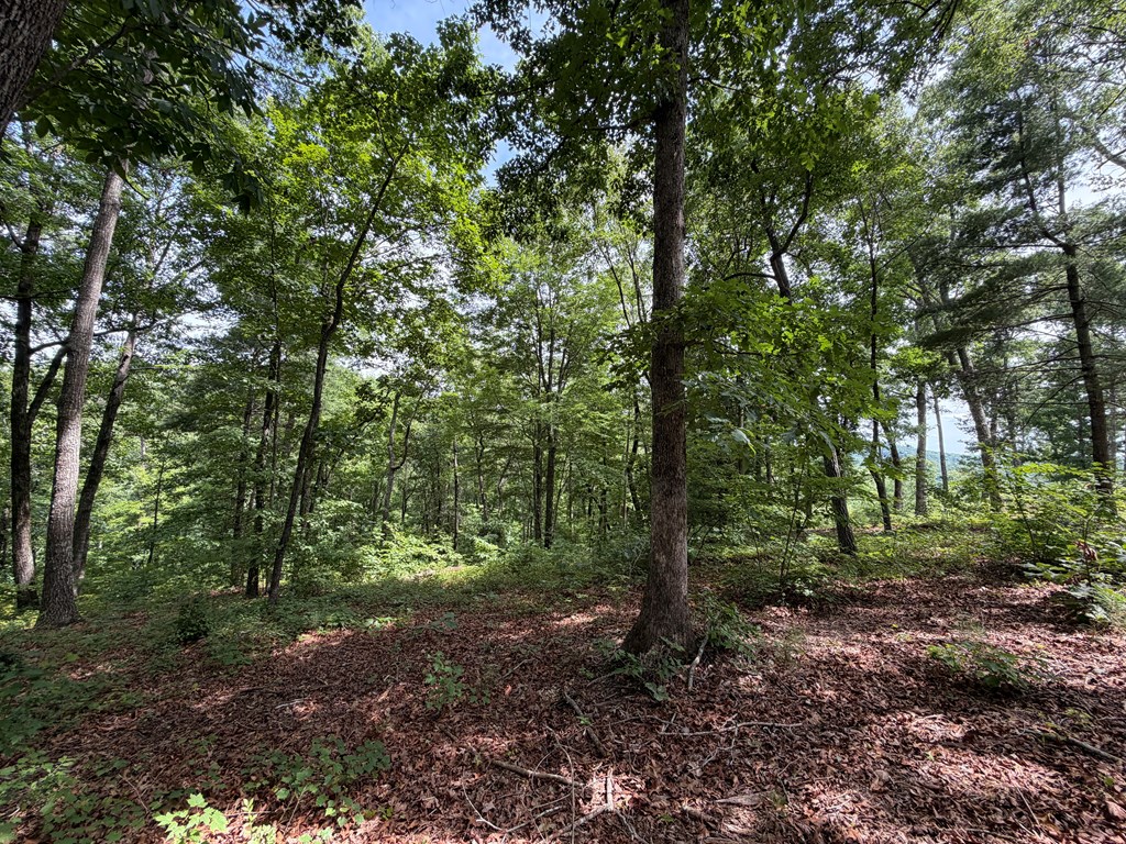Lot 20 Lake Top Lane