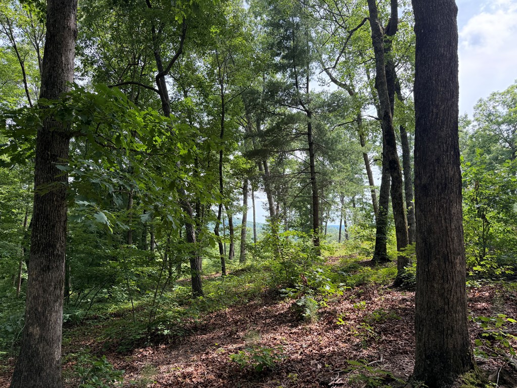 Lot 20 Lake Top Lane