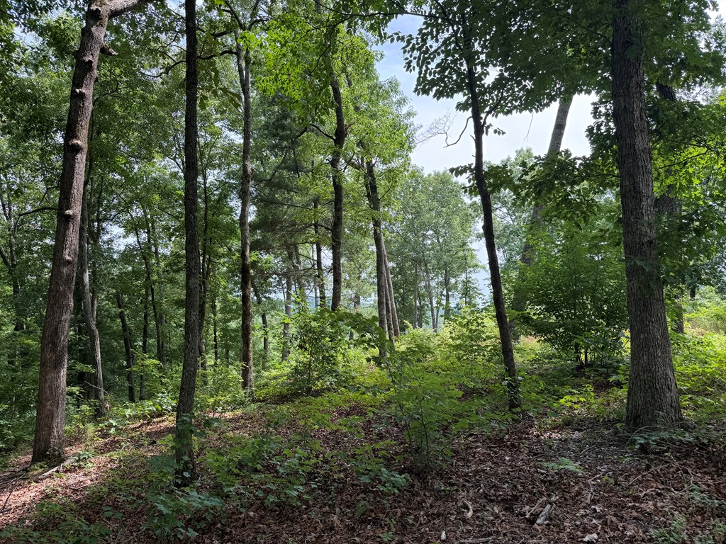 Lot 20 Lake Top Lane