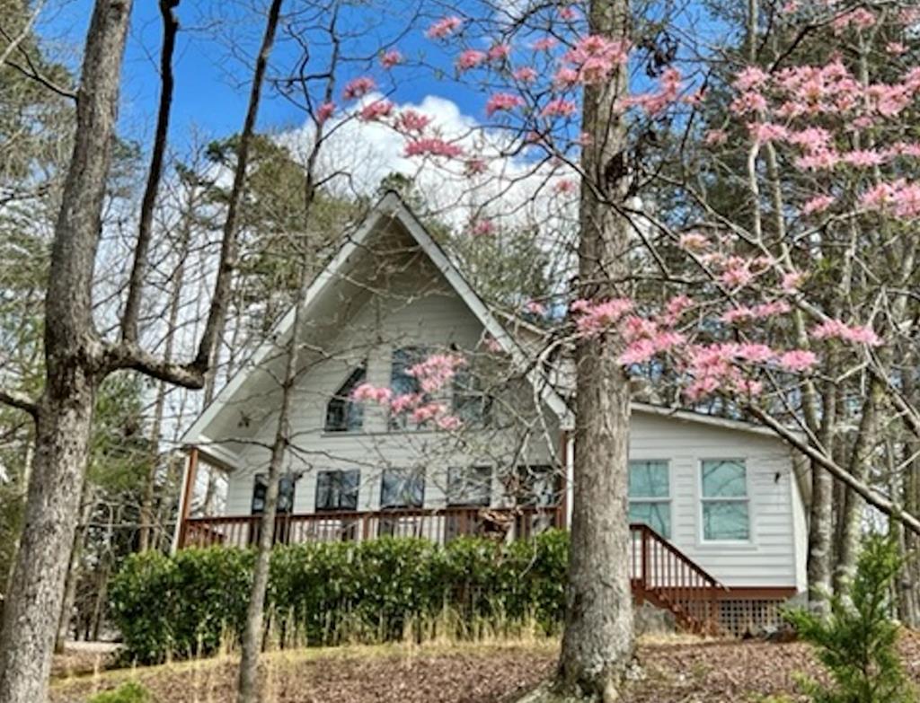 295 Vista Chalet Drive