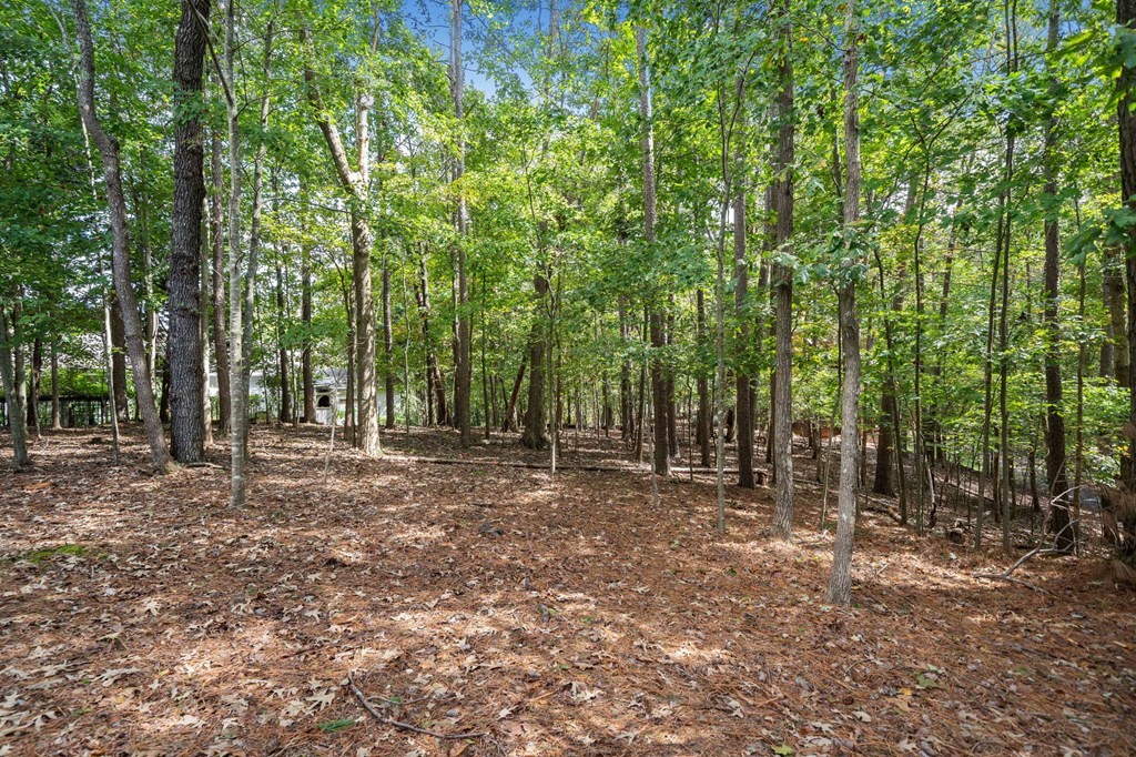 295 Vista Chalet Drive