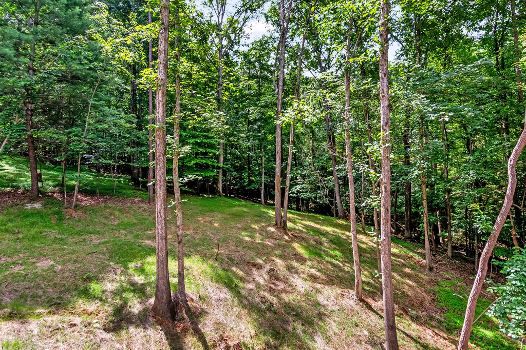 209 Pinecrest Court