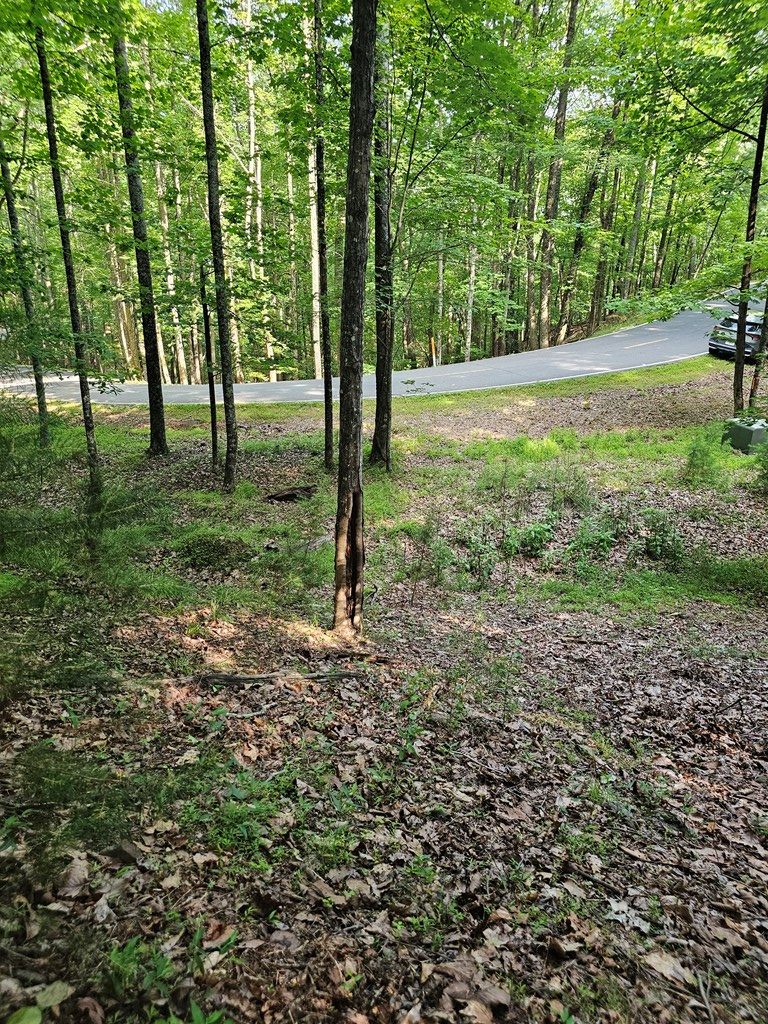 1111 Quail Cove Drive