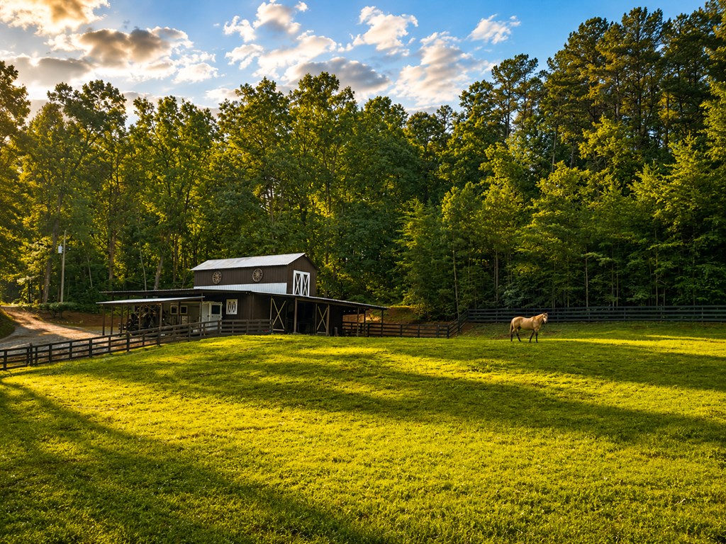 2411 Highway 9 South