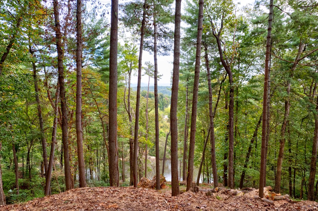 99&102R Ponca Court