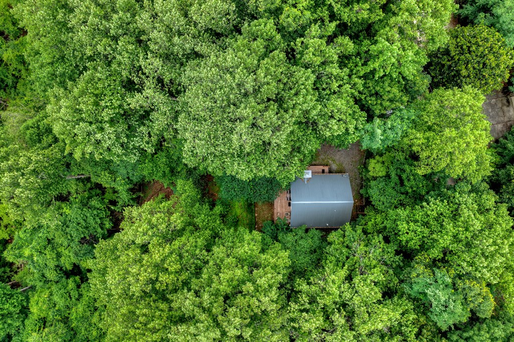 161 Walnut Ridge
