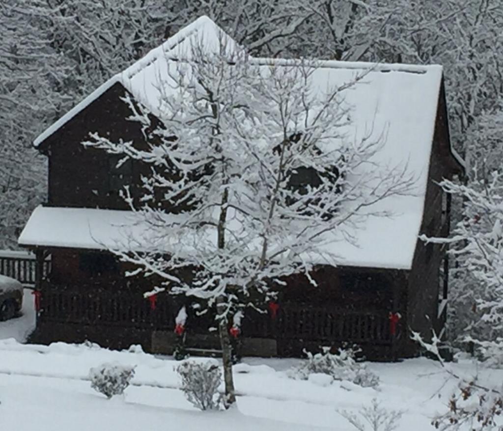 175 Leisure Drive