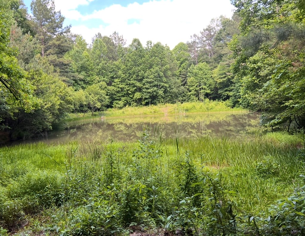 Ellijay