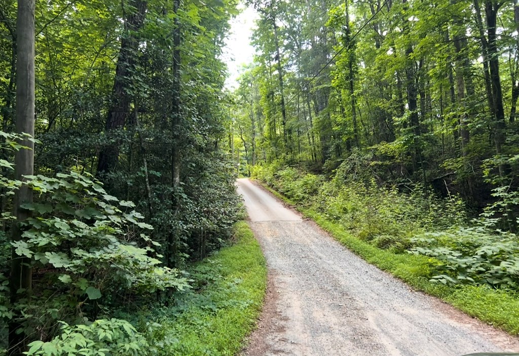 Ellijay