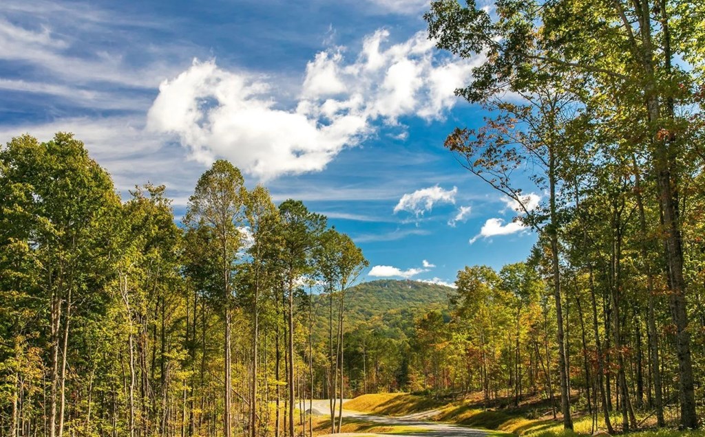 279 Shallow Water Trail