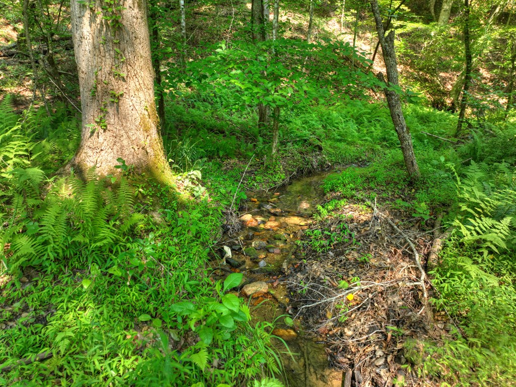 279 Shallow Water Trail