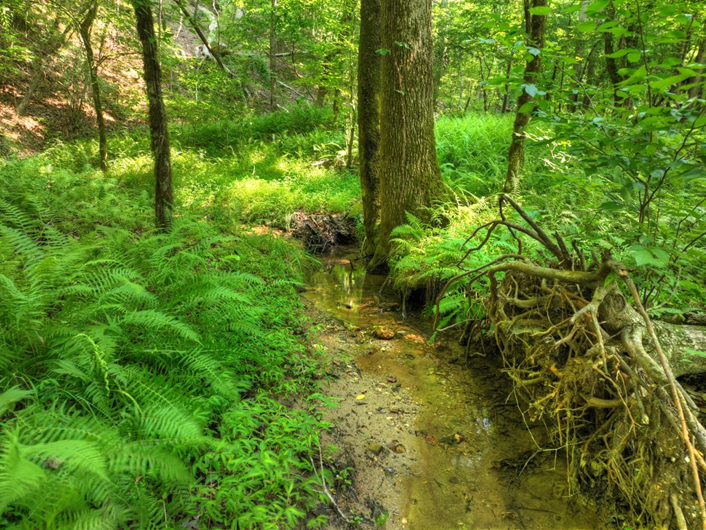 279 Shallow Water Trail