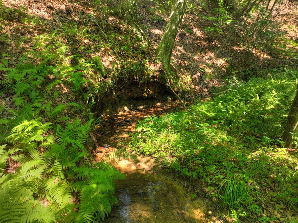 279 Shallow Water Trail