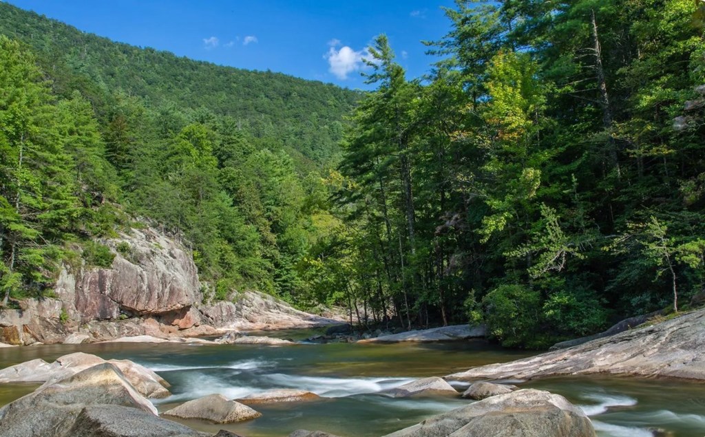 279 Shallow Water Trail