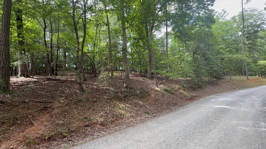 lot 679 Cypress Circle