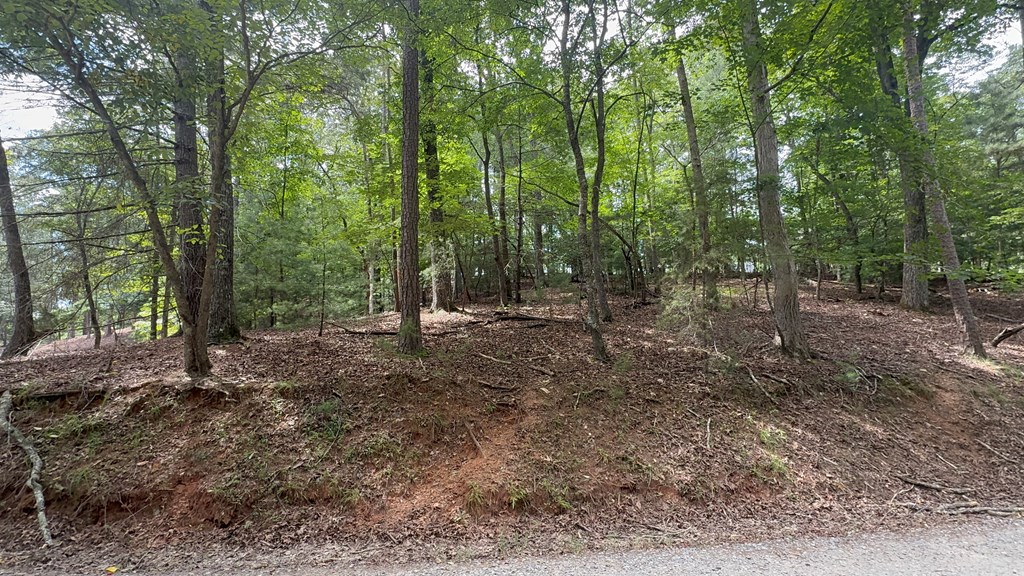 lot 679 Cypress Circle