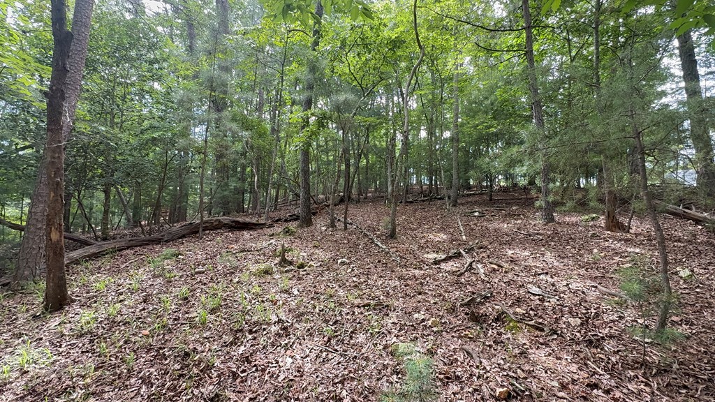 lot 679 Cypress Circle