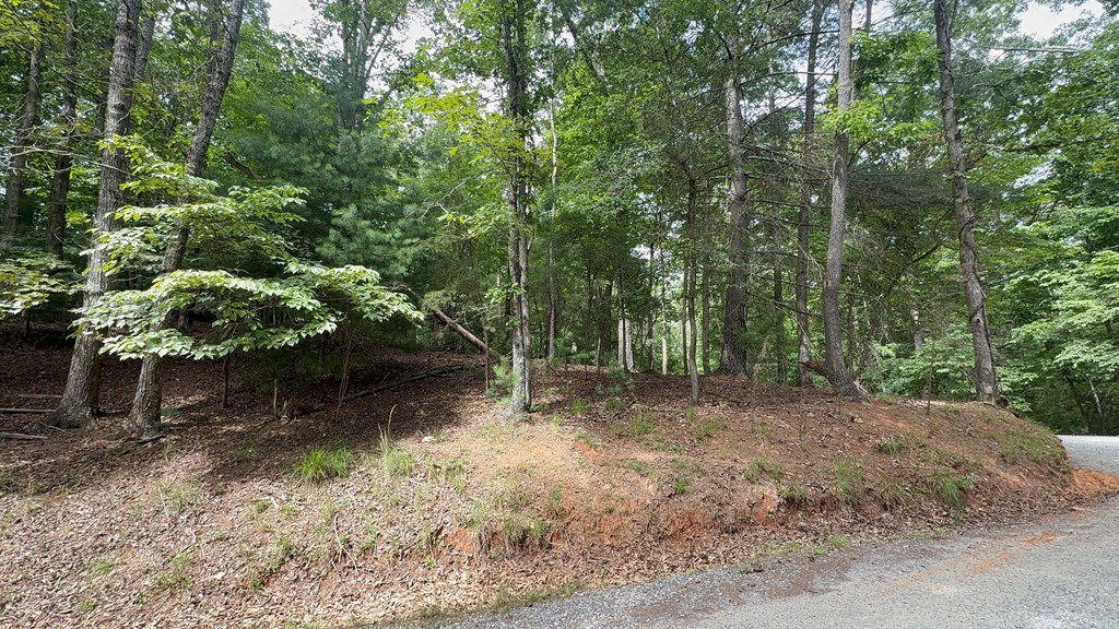 lot 679 Cypress Circle