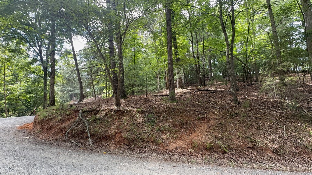 lot 679 Cypress Circle