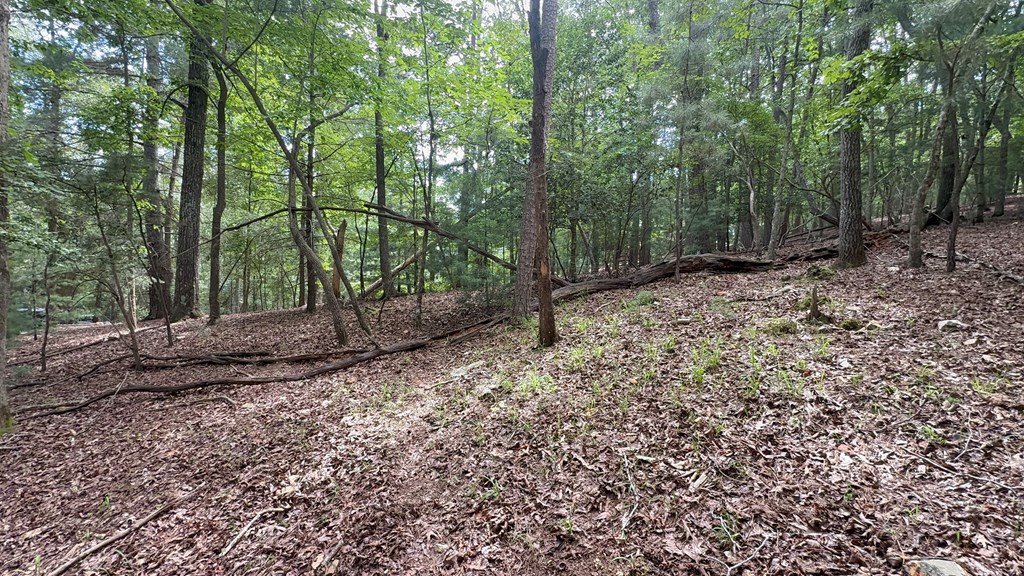 lot 679 Cypress Circle