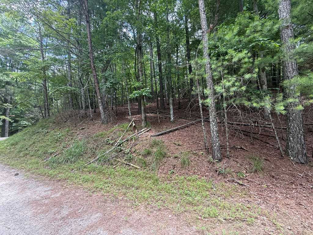 lot 1336 Lyric Lane