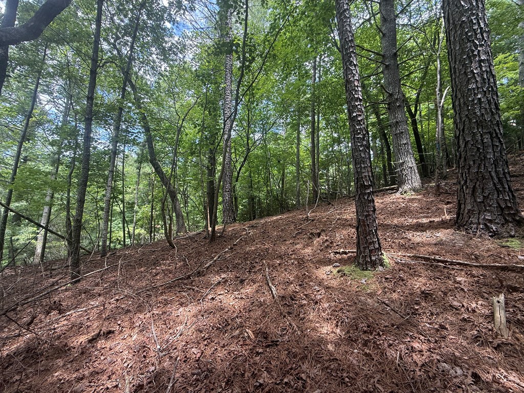lot 1336 Lyric Lane
