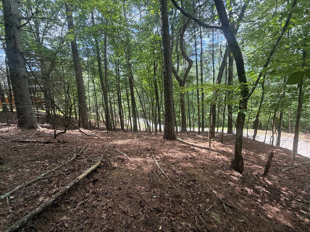 lot 1336 Lyric Lane