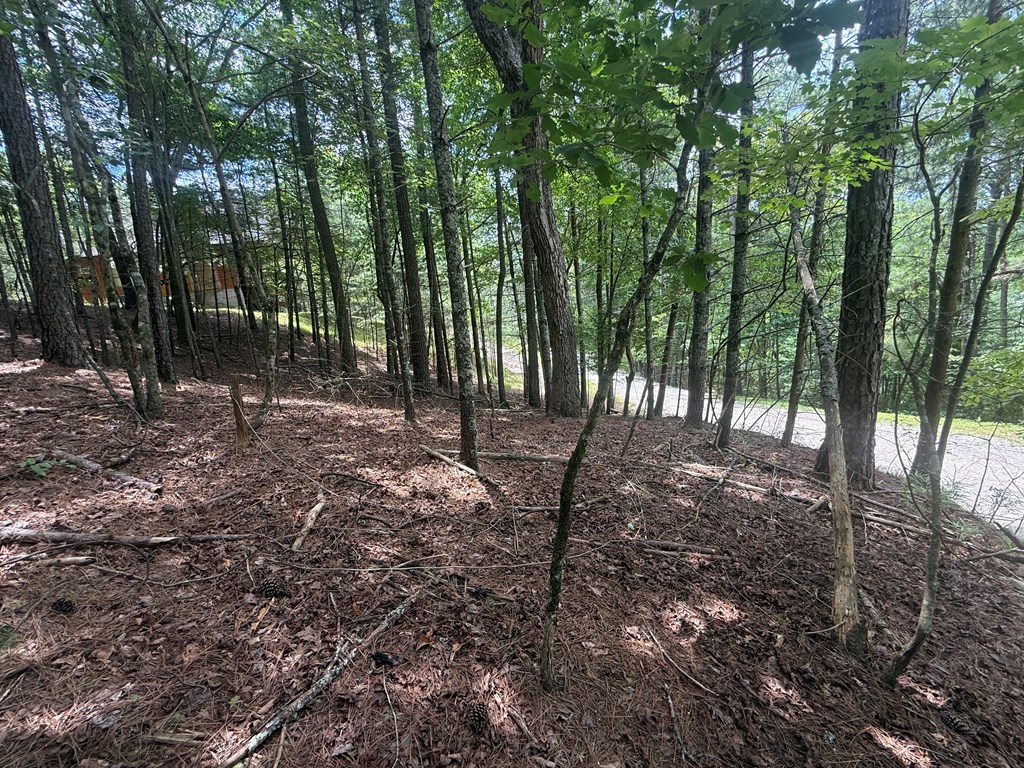lot 1336 Lyric Lane